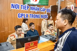 Tin Podcast ngày 18/6/2026: Giảm một nửa thời gian cấp, đổi giấy phép lái xe 