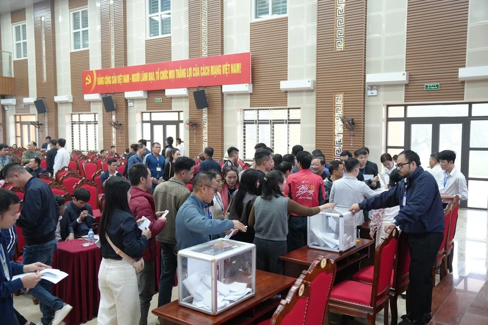 Nhiều xã ngoại thành tấp nập đấu giá đất cuối năm