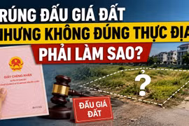 Trúng đấu giá đất nhưng thực địa không khớp hồ sơ, người mua phải làm gì?