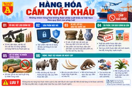 Không phải hàng hóa nào cũng được phép xuất khẩu