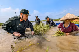 Dầm mình trong dòng nước dữ, viết bằng hơi ấm tình người