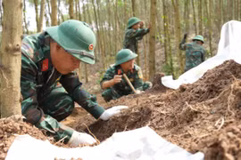 "Tọa độ Câu Nhi" và câu chuyện hơn nửa thế kỷ tìm tên cho người lính