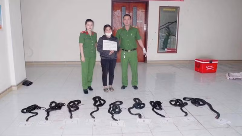 Nguyễn Thị Huyền bị bắt giữ (Ảnh: Công an tỉnh Hà Tĩnh)