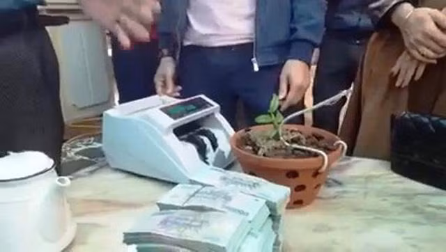 Việc mua bán diễn ra công khai