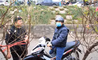 Đào Nhật Tân xuống phố 