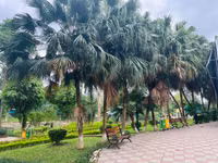 Cây xanh, vườn thú Hà Nội ra sao sau khi bão Yagi quét qua?