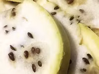 Vùng đất nơi có dưa hấu mọc la liệt nhưng không ai dám ăn