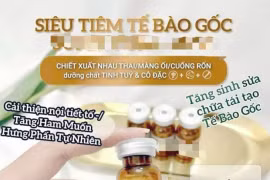 Hà Nội: Phạt tiền 267 triệu đồng, tước giấy phép hoạt động cơ sở thẩm mỹ tư vấn truyền tế bào gốc không phép