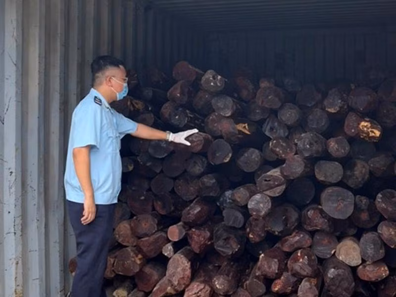 Tang vật vụ việc Tang vật vụ việc