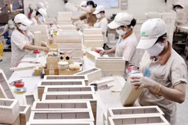 Xuất khẩu gỗ sang Hoa Kỳ sụt giảm, sang EU và Trung Quốc tăng trưởng bứt phá