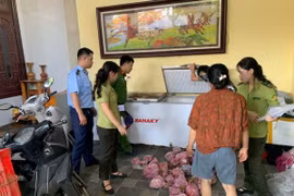 Phát hiện và thu giữ 290 cá thể cò hương đã qua sơ chế, chuẩn bị đưa đi tiêu thụ