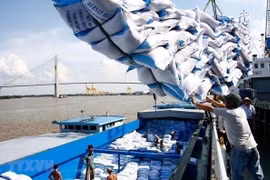 Mở rộng thị trường xuất khẩu gạo kết hợp với đảm bảo an ninh lương thực