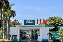 Giấy Bãi Bằng - Chất lượng xanh từ thương hiệu phát triển bền vững