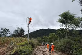 Gần 92% khách hàng bị ảnh hưởng do mưa lũ ở miền Bắc được cấp điện trở lại
