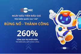 Tên miền quốc gia “.vn” được đấu giá thành công, giá trúng cao nhất 217 triệu đồng