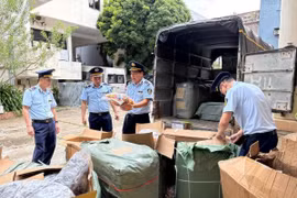 Tạm giữ hơn 23.000 sản phẩm đồ chơi trẻ em đang thẩm lậu vào Việt Nam