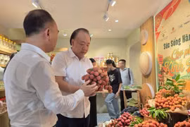 Đang diễn ra “Chợ phiên Kinh Bắc” tại Hà Nội, bán vải thiều, mì Chũ giá ưu đãi 