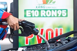 Hầu hết các dòng xe đều tương thích với xăng E10