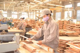 Những nhóm hàng nào có nguy cơ cao bị điều tra phòng vệ thương mại tại Hoa Kỳ?