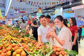 Hỗ trợ thúc đẩy tiêu thụ quả vải
