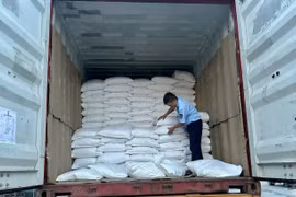Khám phương tiện vận tải, phát hiện 26,5 tấn gạo nhập khẩu không có nhãn phụ