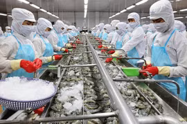 VCCI phản hồi các cuộc điều tra của Hoa Kỳ liên quan đến dư thừa công suất và lao động cưỡng bức