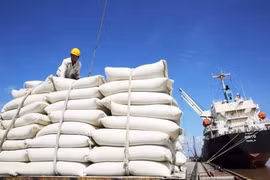 Xuất khẩu hơn 7,16 triệu tấn gạo trong 10 tháng, nhiều thị trường mới tăng mạnh nhập khẩu hàng nghìn lần