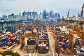 Việt Nam xuất siêu sang Singapore hơn 4,18 tỷ USD 