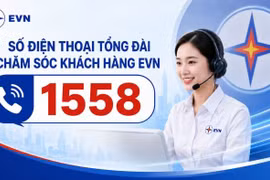 EVN có đầu số điện thoại chăm sóc khách hàng mới
