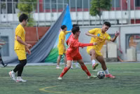 Chùm ảnh loạt trận 10h30 sáng 12-11