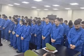 Thêm hai đối tượng trong đường dây lừa đảo đầu tư ngoại hối lĩnh án tù 