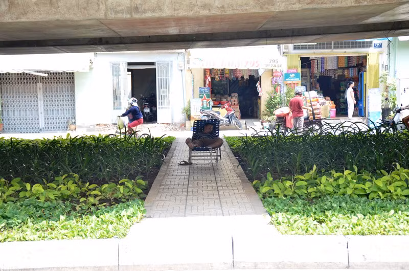 Nắng nóng như "lò bát quái" ở TP. Hồ Chí Minh ảnh 5