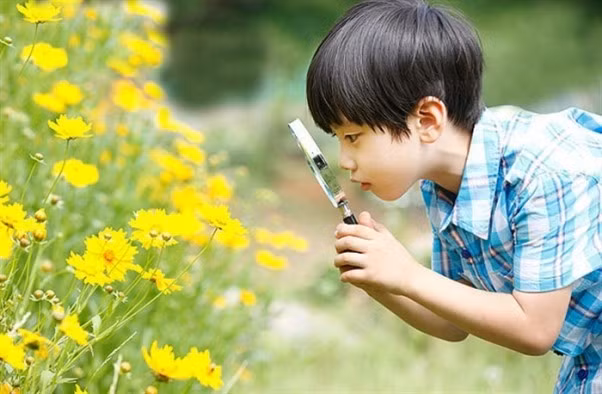Thoát khỏi những "hộp diêm" ngột ngạt, mẹ cho con căn hộ xanh nơi phố... ảnh 1