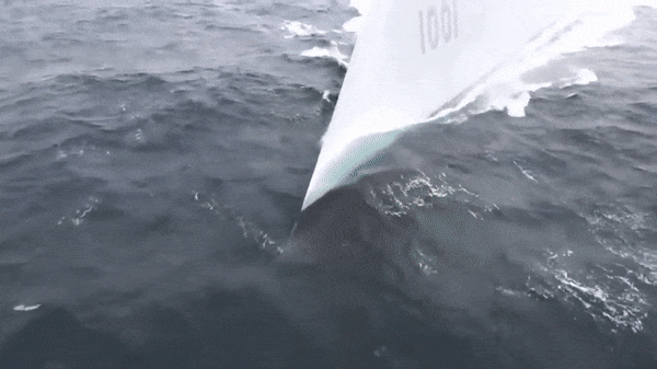 ss-144.gif