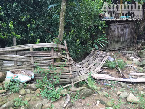 Căn nhà nơi xảy ra vụ thảm sát 4 người hoang phế lạnh người ảnh 20