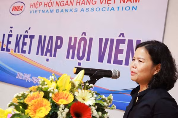 Công ty sở hữu 123Pay, Zalo Pay gia nhập Hiệp hội Ngân hàng Việt Nam ảnh 2