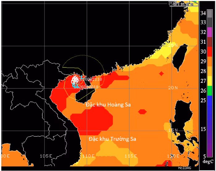 antdvn-bao-trua-228.png