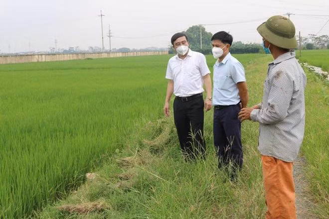 Các huyện “vùng xanh” khuyến khích nông dân sản xuất nông nghiệp