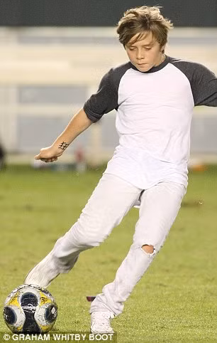 Sân cỏ sẽ có David Beckham... thứ hai ảnh 3