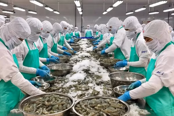 Hàng hóa Việt Nam xuất khẩu sang Hoa Kỳ sẽ tiếp tục tăng trưởng