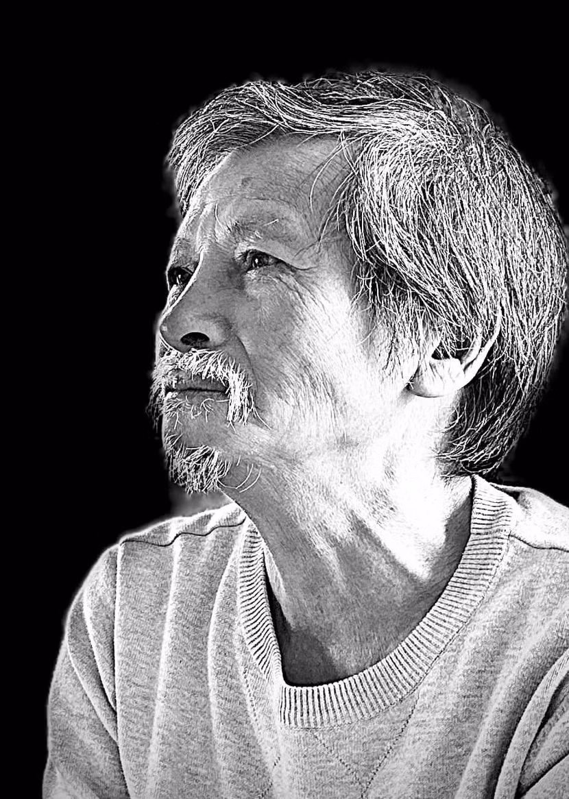 Họa sĩ Lý Trực Sơn Họa sĩ Lý Trực Sơn