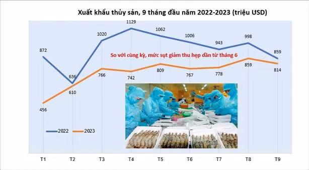 Bức tranh xuất khẩu thủy sản 9 tháng đầu năm 2023 (nguồn: VASEP)