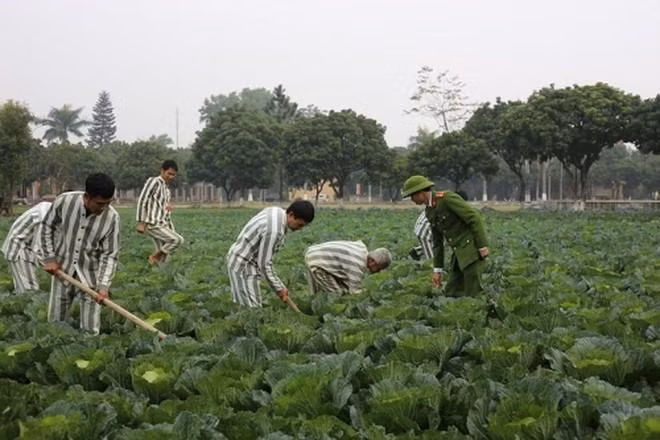 Người bị tạm giữ, tạm giam có các quyền được gặp thân nhân, người bào chữa, tiếp xúc lãnh sự (Ảnh minh họa)