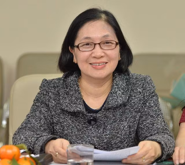 Bà Nguyễn Thị Ngọc Lan, Phó Tổng cục trưởng Tổng cục Dân số-KHHGĐ (Bộ Y tế) thông tin về già hóa dân số Bà Nguyễn Thị Ngọc Lan, Phó Tổng cục trưởng Tổng cục Dân số-KHHGĐ (Bộ Y tế) thông tin về già hóa dân số