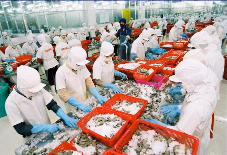 Tranh thủ cơ hội để xuất khẩu thủy sản vào Arab Saudi