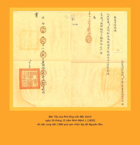 Phiên bản tư liệu tại triển lãm