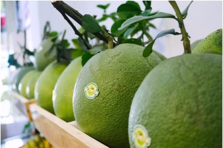 Xúc tiến xuất khẩu trái bưởi sang thị trường Trung Quốc Xúc tiến xuất khẩu trái bưởi sang thị trường Trung Quốc