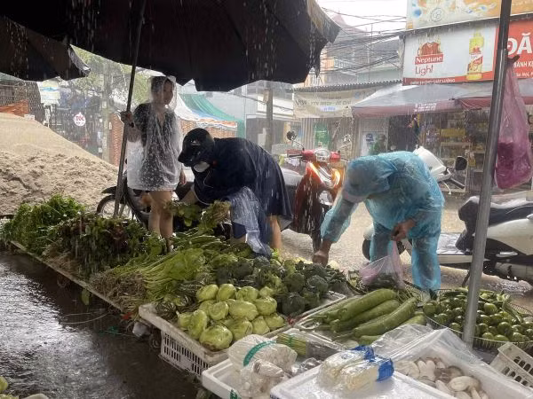 Nguồn cung rau chưa phong phú nên giá bán đứng ở mức cao