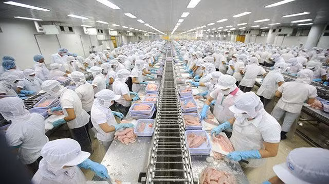 Doanh nghiệp chế biến chế tạo lạc quan về tình hình sản xuất kinh doanh