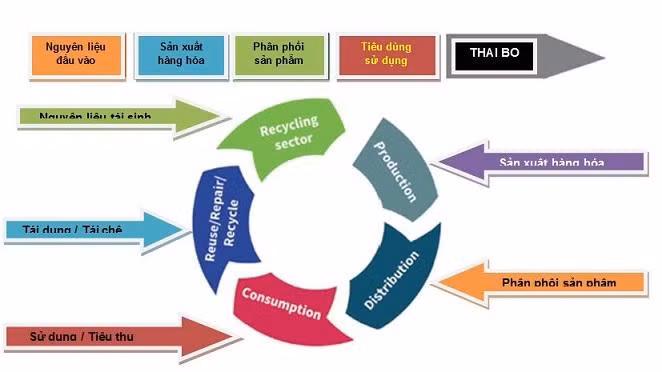 Kinh tế tuần hoàn giúp phát triển bền vững